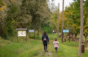 A parent and child walking on a path in a scenic nature reserve in Croatia, surrounded by lush greenery.